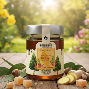 Beelicious Eucalyptus Honey with Ginger